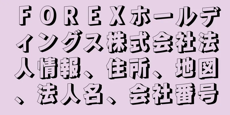 ＦＯＲＥＸホールディングス株式会社法人情報、住所、地図、法人名、会社番号
