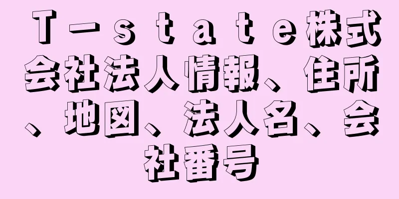 Ｔ－ｓｔａｔｅ株式会社法人情報、住所、地図、法人名、会社番号