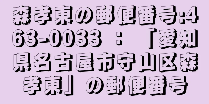森孝東の郵便番号:463-0033 ： 「愛知県名古屋市守山区森孝東」の郵便番号