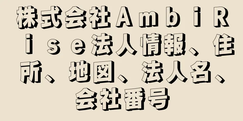 株式会社ＡｍｂｉＲｉｓｅ法人情報、住所、地図、法人名、会社番号